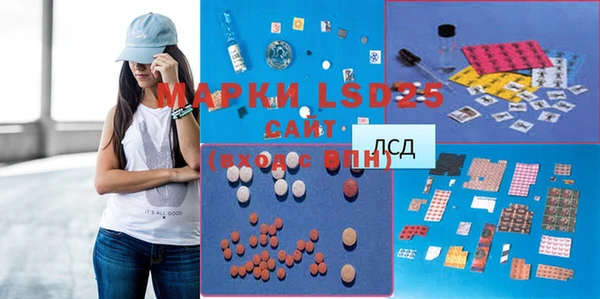 мяу мяу мука Магас