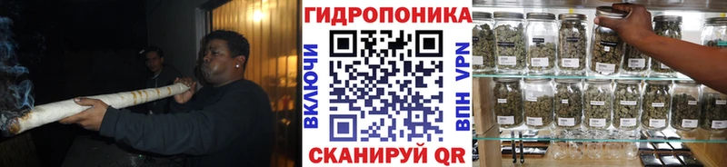 Марихуана Ganja  Купить где  Златоуст